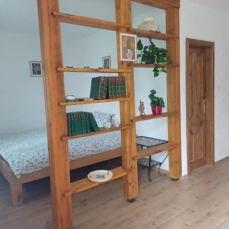 Statek U Spulaka Daire Lomnice nad Lužnicí Dış mekan fotoğraf