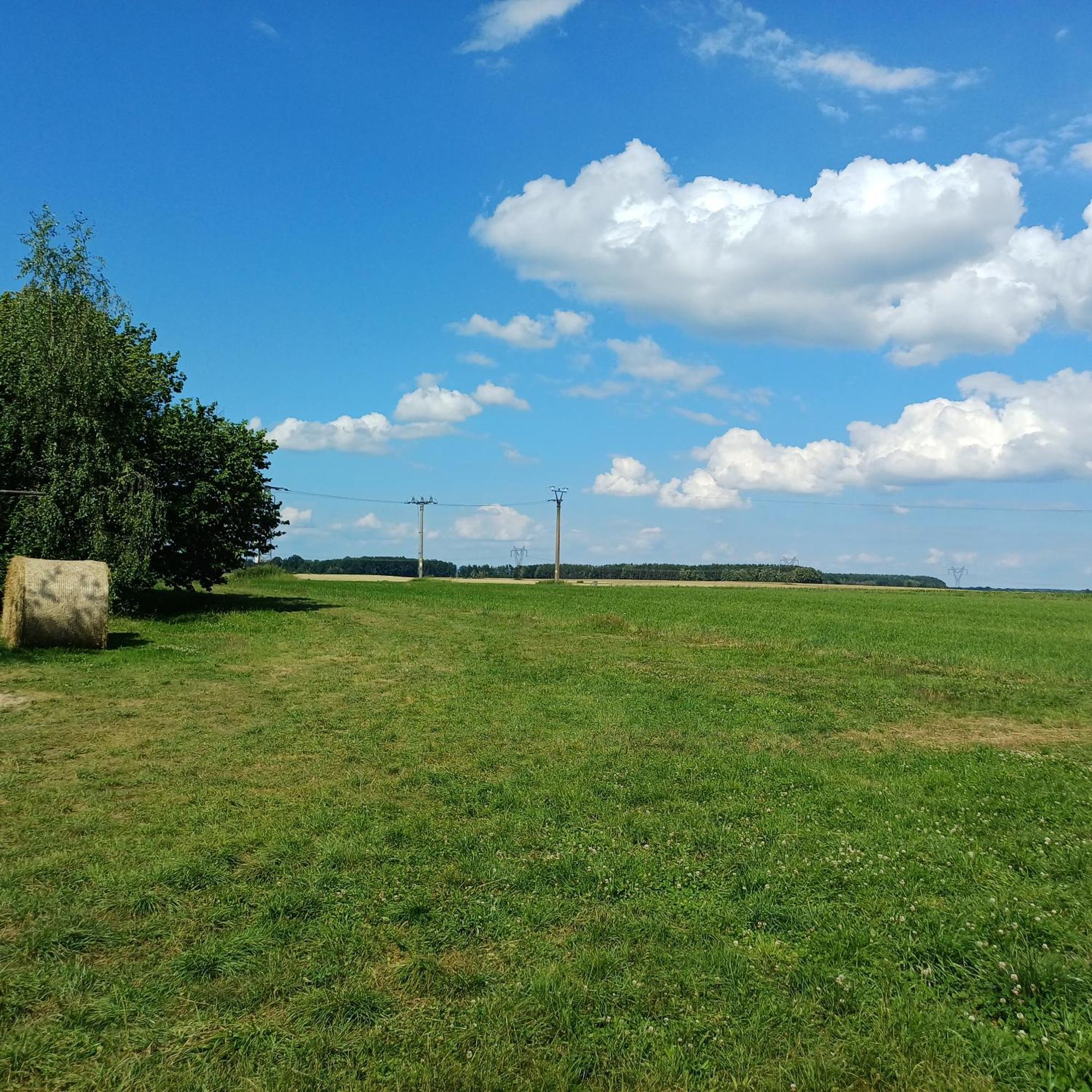 Statek U Spulaka Daire Lomnice nad Lužnicí Dış mekan fotoğraf